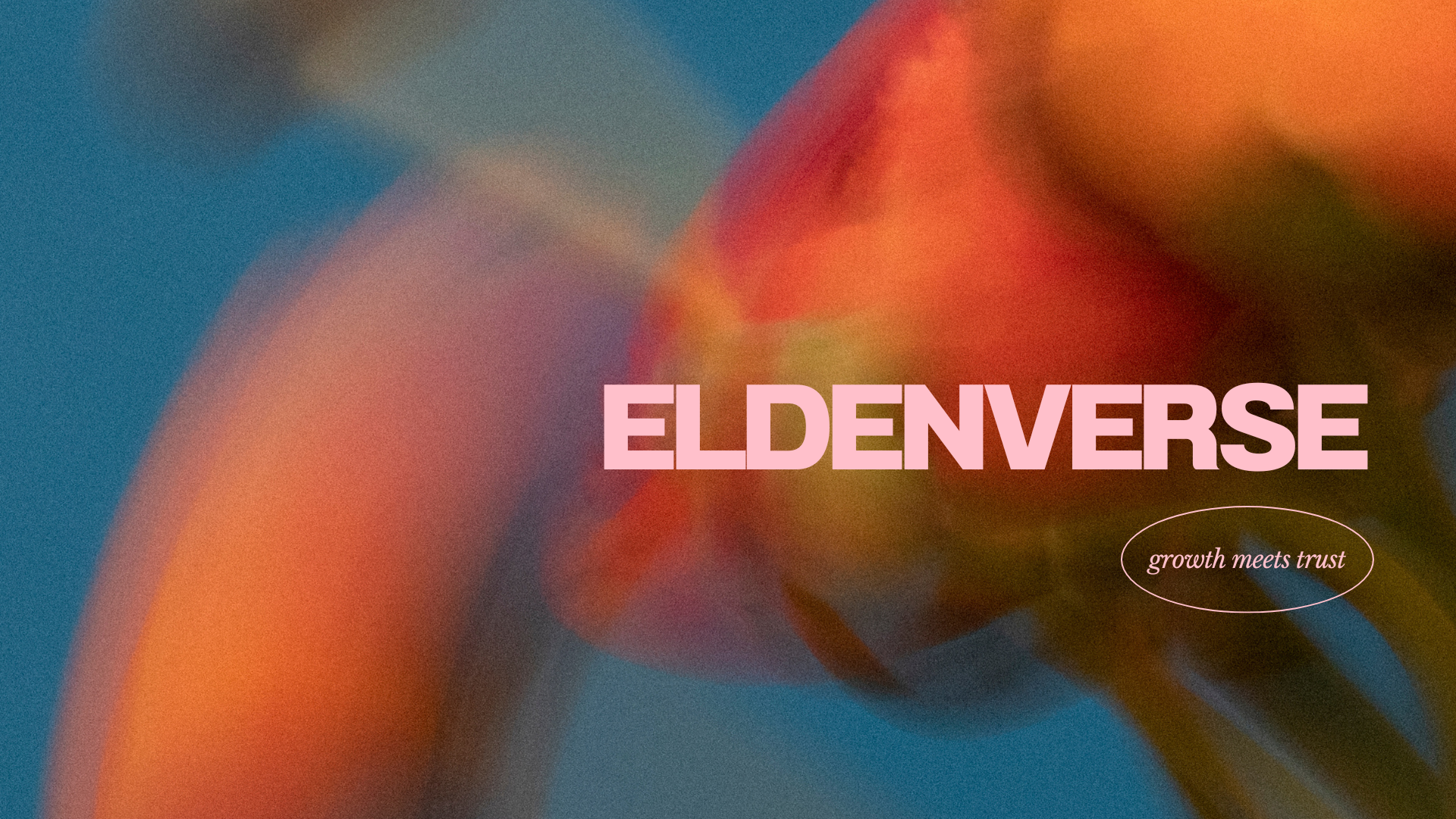 eldenverse